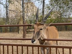 -大连森林动物园