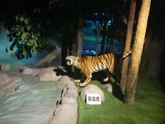 -吉林省自然博物馆