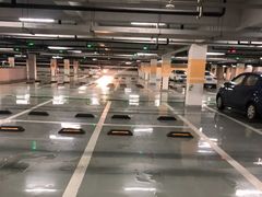-上海海昌海洋公园-停车场