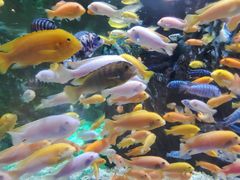 -太平洋海底世界