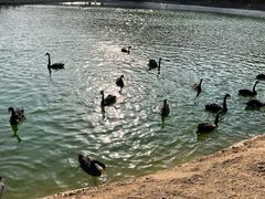 -静之湖度假区