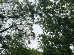 -天坛公园
