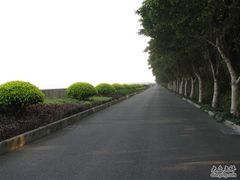 -大湾区中央湿地公园