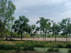 -东郊湿地公园