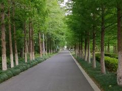 -昆山城市生态森林公园