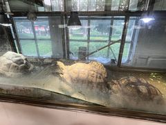-保定市动物园