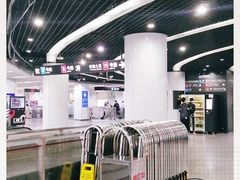 -东方体育中心(地铁站)