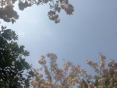 -缥缈峰景区