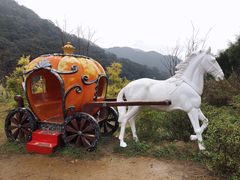 -广州市石门国家森林公园