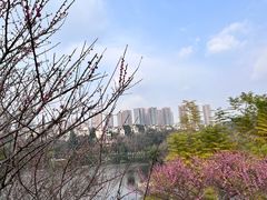 -重庆彩云湖湿地公园