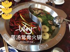 完美的菌汤鸳鸯火锅-春和饺子火锅