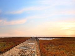 -南汇嘴观海公园