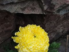 -虞山城墙