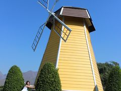 -黄色小屋