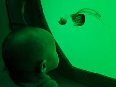 -沈阳海洋探索中心