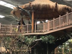 -南宫五洲植物乐园