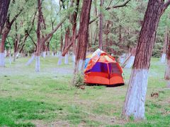 -长白岛森林公园