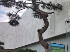 -罗红摄影艺术馆