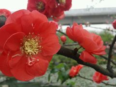 -秀丽东方