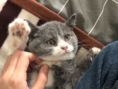 -唯美宠物生活馆(绿地国际生态城店)