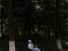 -月湖风景区