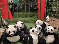 -济州岛泰迪熊博物馆