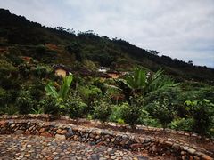 -福建土楼（华安）旅游区•大地土楼群