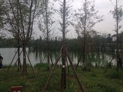 -白鹭湾湿地公园