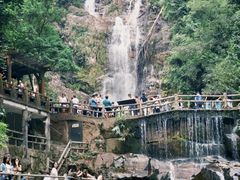 -鼎香皇高佬苏裹蒸粽