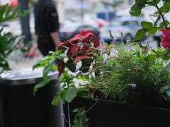 -DECAMERON十日谈(卓悦汇店)