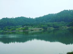 -番禺大夫山森林公园