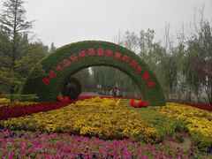 -大兴滨河森林公园