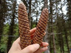 -硗碛藏寨·神木垒景区