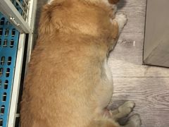 -小时光咖啡馆(北锣鼓巷店)