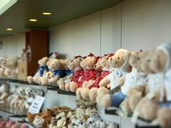 -济州岛泰迪熊博物馆