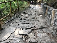 -北京上方山国家森林公园