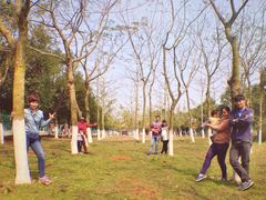 -广东茂名森林公园