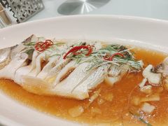 -成事园(真北店)