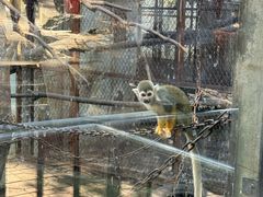-昆明动物园