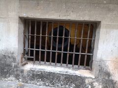 -石炮台公园