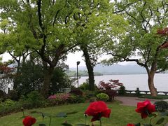 -杭州西湖柳莺里酒店·闻莺厅