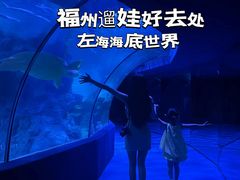 -左海海底世界