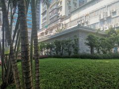 -晓港公园