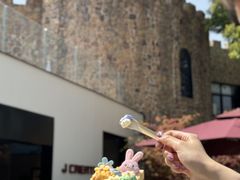 -J Create城市露营咖啡·简餐·宠物(上海动物园店)