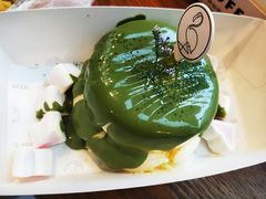 -狐狸和向日葵(北京路店)