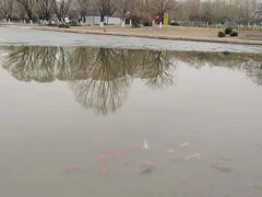 -太阳宫公园
