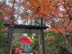 -大慈岩风景区