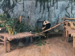 -深圳野生动物园