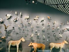 -中国湿地博物馆