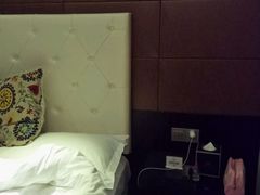 -美豪怡致酒店(上海长寿路店)